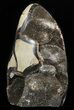 Polished Septarian Geode Sculpture - Barite Crystals #47470-1
